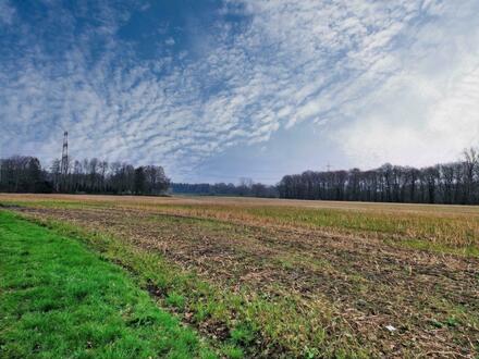 8.1 Hektar landwirtschaftliche Flächen in Sögeln - Bramsche