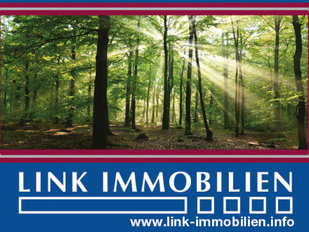 Immobilie geerbt?