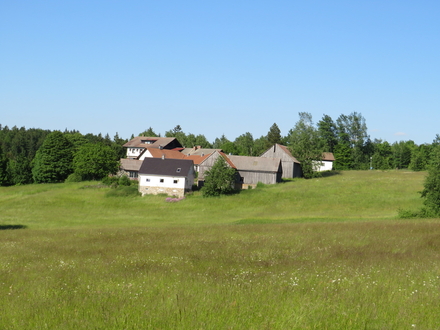 Naturliebhaber aufgepasst! Entkerntes Wohnhaus mit diversen Nebengebäuden in Traumlage auf der Altglashütte zu verkaufen