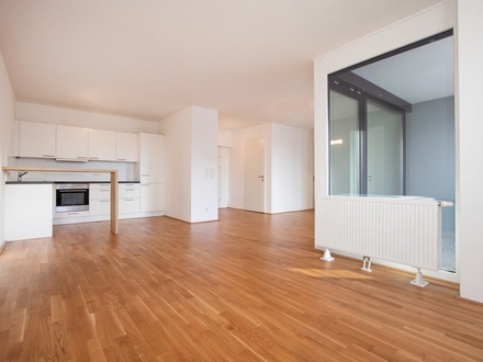 Moderne 2-Zimmer-Wohnung mit Loggia, nähe LKH, 5020 Salzburg - zur Miete