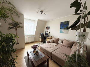 Umfangreich saniertes Mehrfamilienhaus mit 9 Top Wohnungen und großem Grundstück – 63075 Offenbach am Main, 63075 Offenbach am Main – Vorschaubild 5