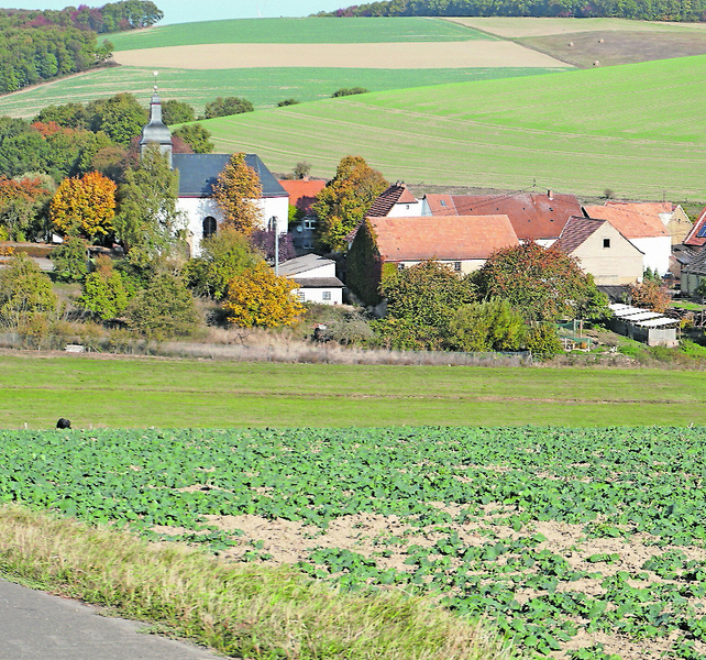 Ortsansicht Dörrmoschel