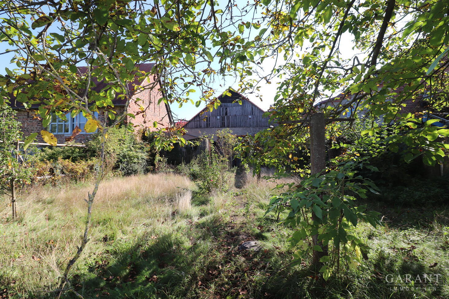 ***Hofreite mit vielen Möglichkeiten*** – 61209 Echzell, 61209 Echzell – Vorschaubild 18
