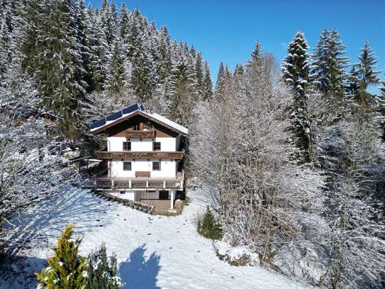 4.699m2 Grundstück mit Altbestand in Waldlichtung