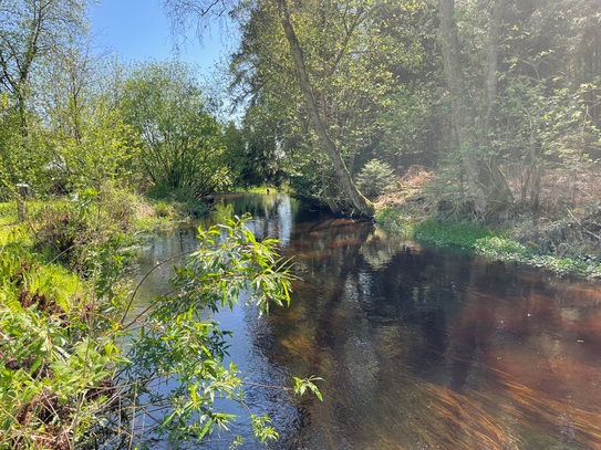 Campingplatz - Baden Württemberg