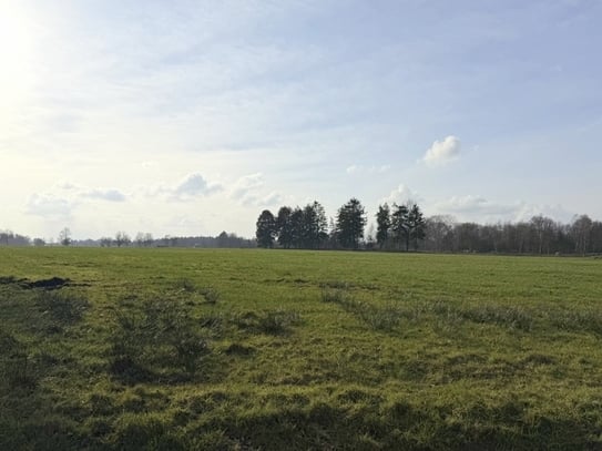 Ca. 5 ha Grünland mit kleinem Gehölz-Anteil in Edewecht-Jeddeloh I / "Mittelweg"