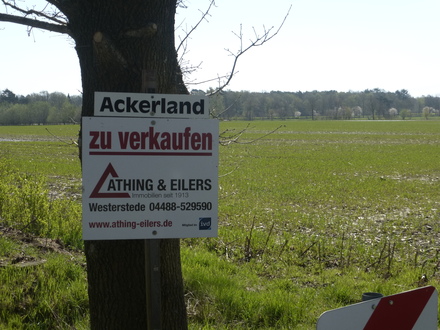6,66 ha arrondiertes Ackerland in Torsholt zu verkaufen!