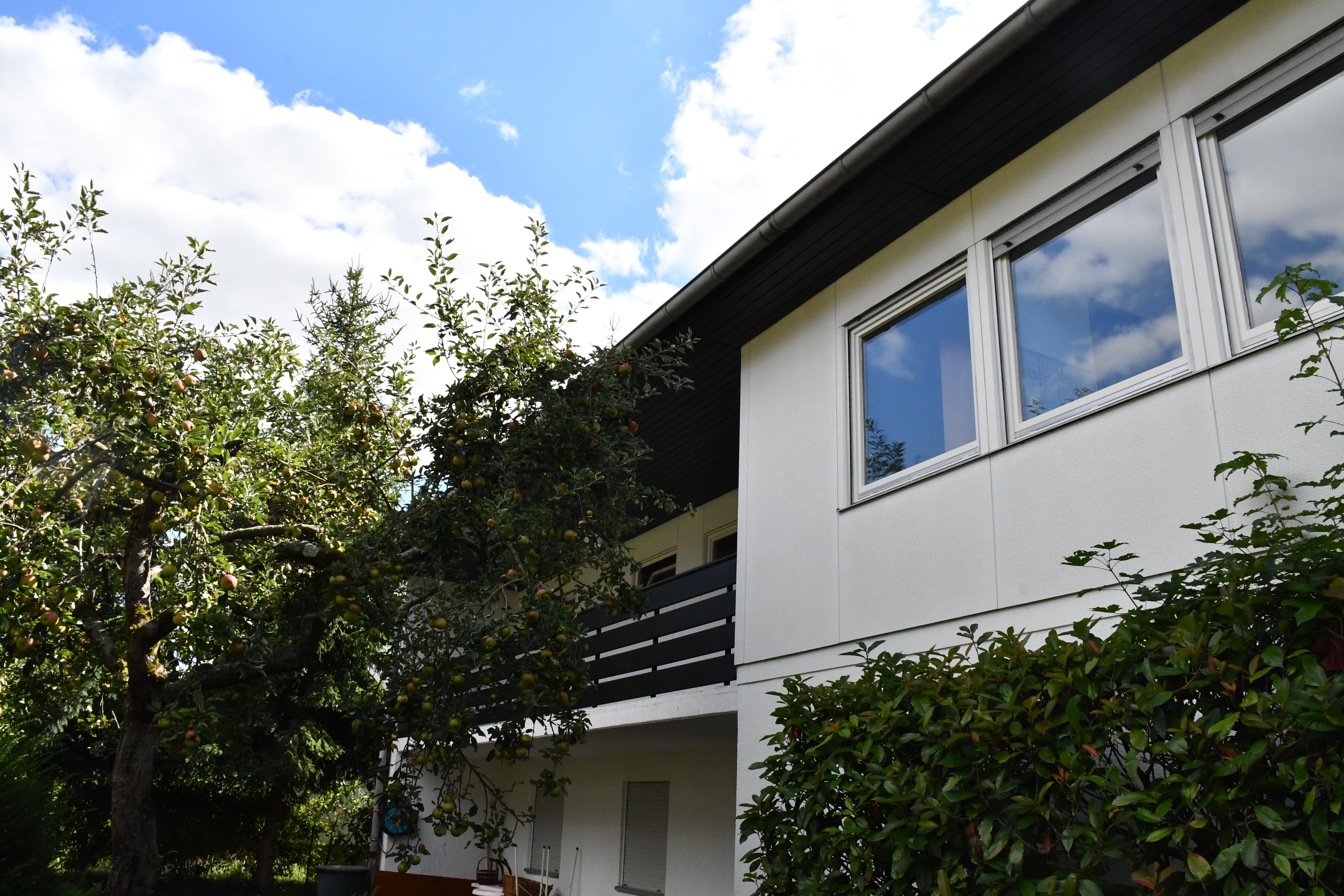 Großzügiges & modernisiertes Familienhaus in ruhiger Lage von Dieburg – 64807 Dieburg, 64807 Dieburg – Vorschaubild 3