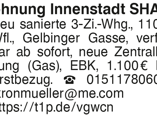 Sanierte 3 Zimmer Wohnung im Herzen von SHA, EBK, Fußgängerzone