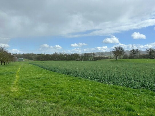 Acker-/Wiesengrundstück