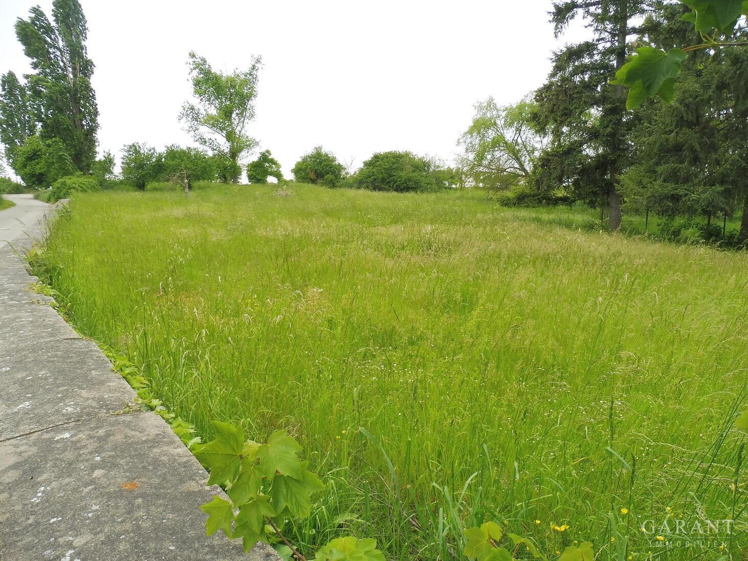 Ländliche Idylle in Nordsachsen – 04874 Belgern, 4874 Belgern – Vorschaubild 5
