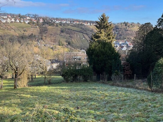 Freizeitgrundstück / Gartengrundstück in sonniger Lage in Rohracker / Hedelfingen zu verkaufen.