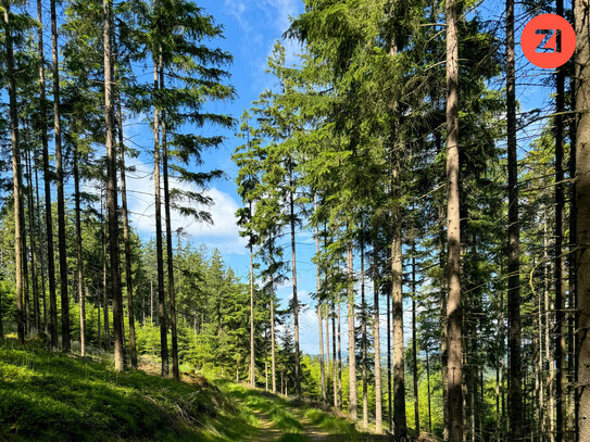 Top - Wertanlage: "Großzügige Waldfläche im Bezirk Freistadt!"