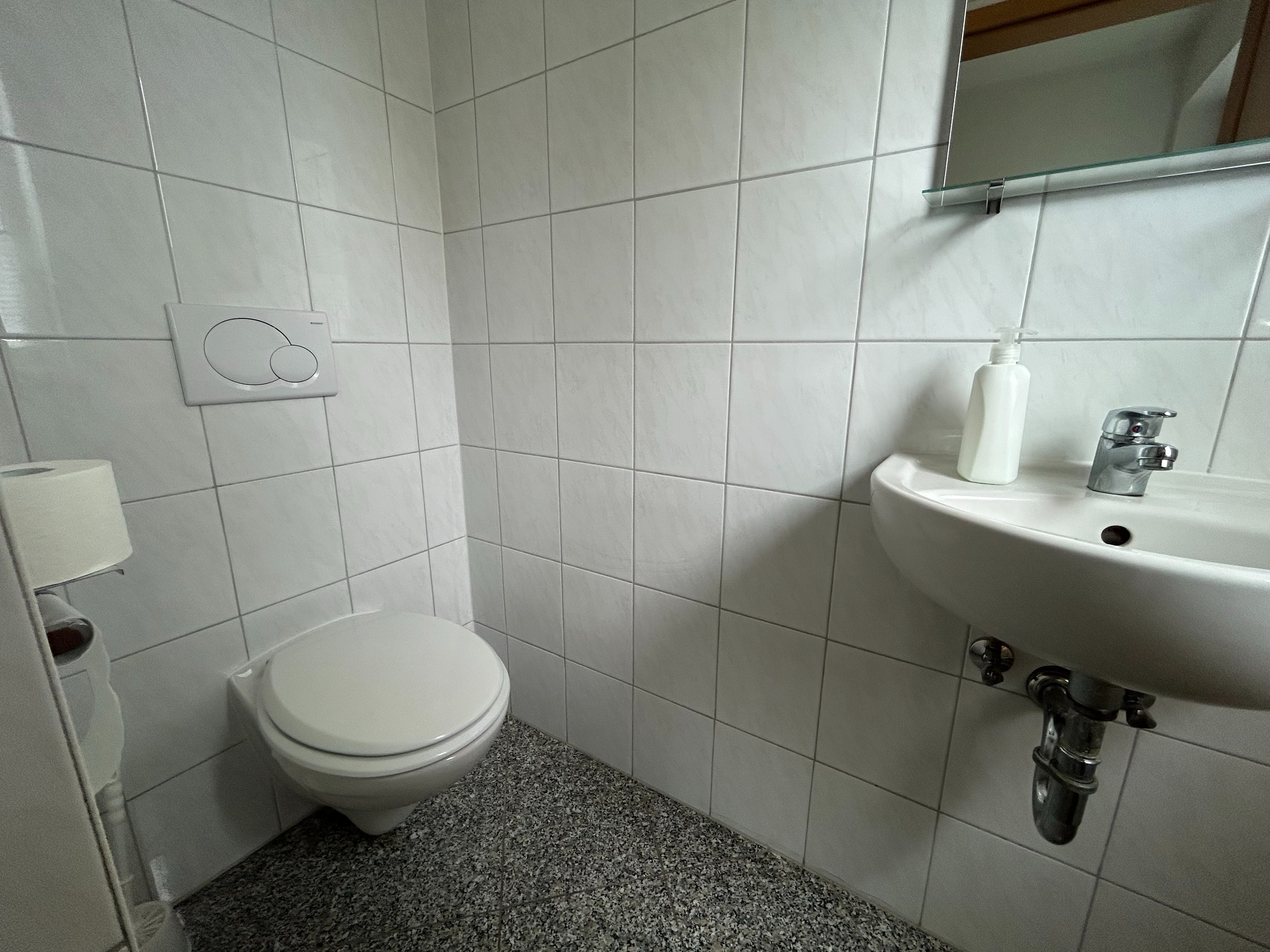 Raum für Zukunftspläne - gepflegte, großzügige Doppelhaushälfte in Saulheim – 55291 Saulheim, 55291 Saulheim – Vorschaubild 3