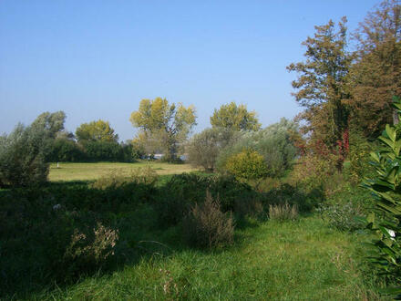 4 Zimmer Whg.in Rhein Nähe/ D-Wittlaer/ Kalkstr.