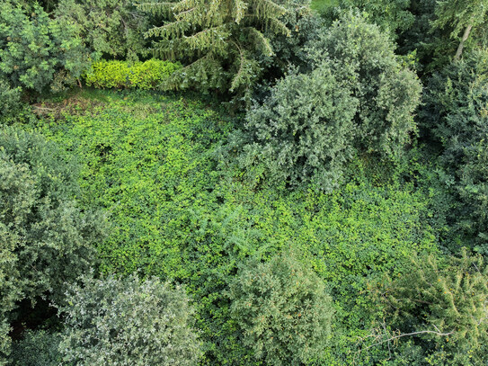 Waldgrundstück mit Blick über die Felder