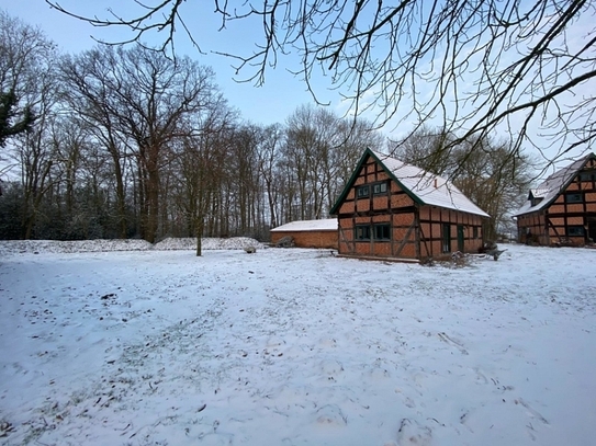 Charmantes Fachwerkhaus mit Terrasse und Gartenanteil in Balge!