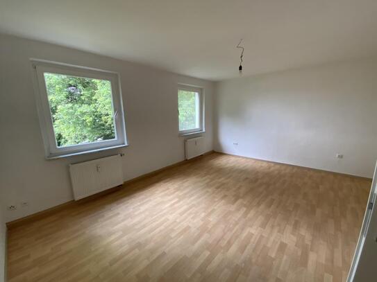 Renovierte Wohnung mit Wohnküche