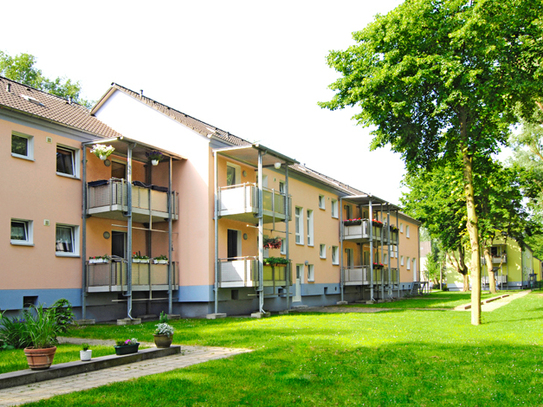 Demnächst frei! 2-Zimmer-Wohnung in Gelsenkirchen Erle