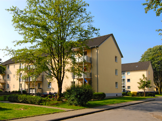 Demnächst frei! 1-Zimmer-Wohnung in Gelsenkirchen Erle