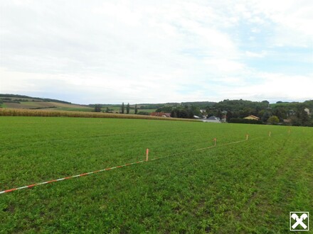Traumhafte Baugrundstücke Mitten im Weinviertel