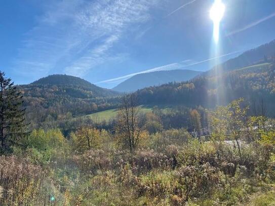 Großer Grund mit herrlichem Ausblick