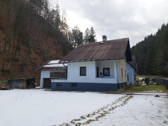 Einfamilienhaus mit großen Garten, renovierungsbedürftig