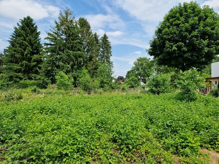 GELDANLAGE OHNE BAUZWANG MIT BAUTRÄGEREIGNUNG ODER IHR GRUNDSTÜCK FÜR EIN TRAUMHAUS IN RUHIGER SIEDLUNGSLAGE