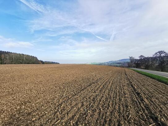 9 ha Ackerflächen + 2 ha Grünland in Weistrach zu verkaufen