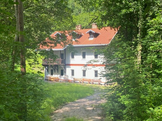 Saniertes Landhaus aus der Jahrhundertwende in Alleinlage unweit von Rax und Schneeberg