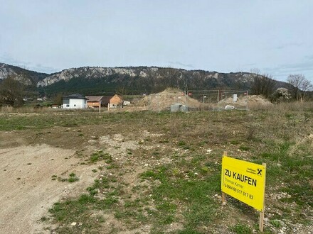 Ebenes, bereits aufgeschlossenes Grundstück an der Hohen Wand