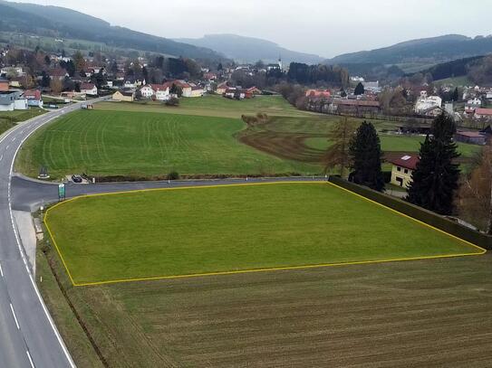 Großes BAUGRUNDSTÜCK im Yspertal - Bauland/Wohnen gewidmet!