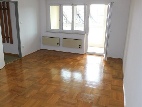 Singlewohnung in ruhiger Lage in Mödling Nähe HTL Mödling