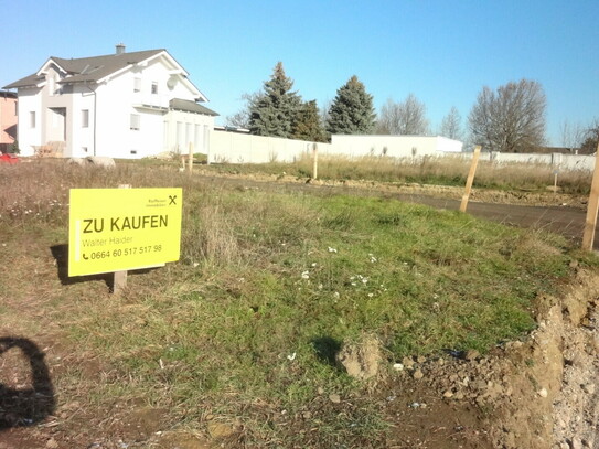 Baugründe in Purbach!