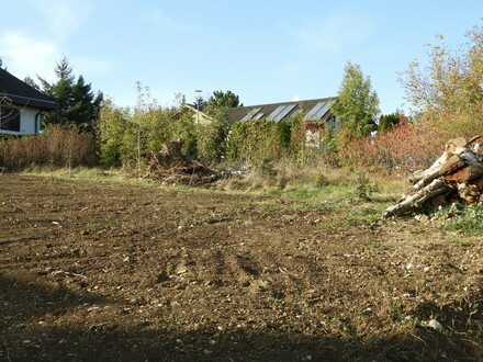 Aufgeschlossener Baugrund in Neulengbacher Siedlungslage