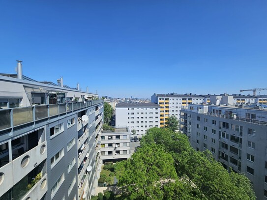 Sommerfeeling auf der Dachterrasse