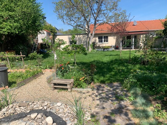 +++ P R E I S R E D U K T I O N +++ Barrierefreier Bungalow im Gartenparadies! Nahe Wien!