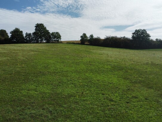 ca. 1,4 Hektar Wiese in St. Leonhard am Forst