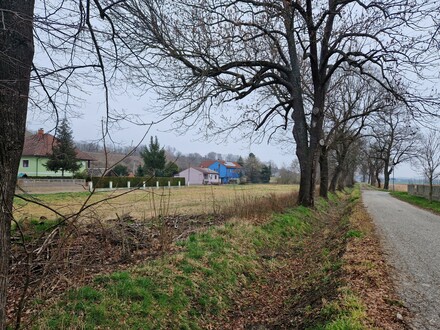 RARITÄT: BAULANDRESERVE: AUSSERGEWÖHNLICHES BAUGRUNDSTÜCK MIT BESTER BAUTRÄGEREIGNUNG IN GUTER WOHNLAGE