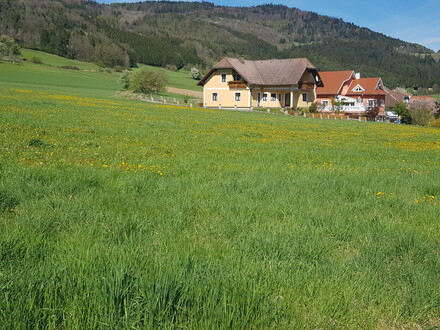 EIN TRAUM WIRD REALITÄT: AUSSERGEWÖHNLICHES BAUGRUNDSTÜCK IN LAIMBACH AM OSTRONG MIT HERRLICHEM AUS- UND FERNBLICK IN T…