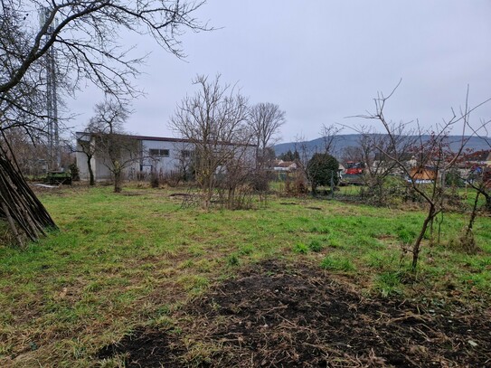 RARITÄT: AUFGESCHLOSSENES BAUGRUNDSTÜCK IN LANGENLOIS OHNE BAUZWANG