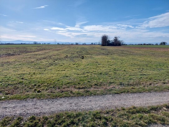 KLEINE ACKERFLÄCHE MIT GUTER BONITÄT IN SEITZERSDORF-WOLFPASSING