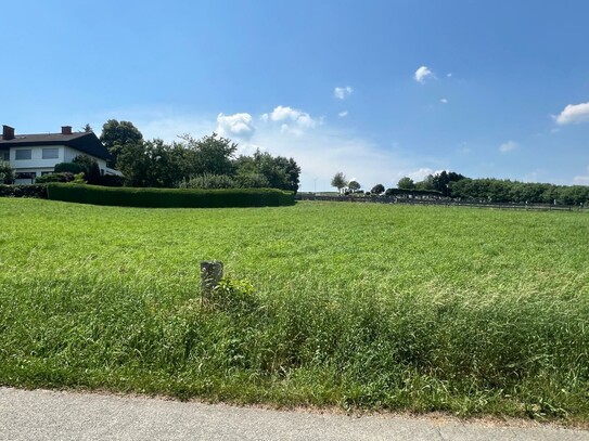 Traumhaftes sonniges Grundstück im Südburgenland!