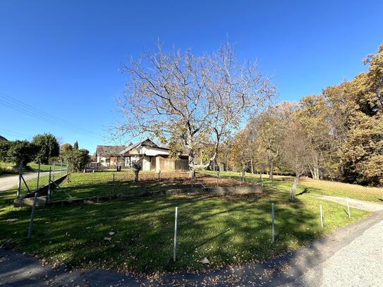 Einfamilienhaus mit Garten und Grundstück: 3.600 m² in idyllischer Lage