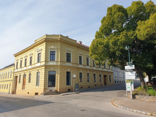 WOHNEN MIT STIL UND FLAIR IM BÜRGERHAUS SAMT ALTBAUJUWEL: KLEINER, VERWUNSCHENER, GEPFLEGTER GARTEN MIT GROSSZÜGIGER WO…