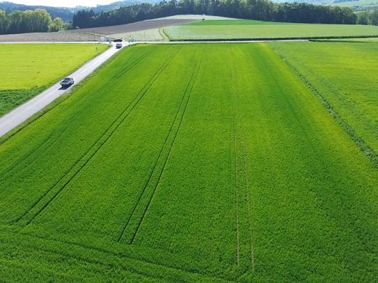 Hochwertiger Acker unweit von Artstetten und Unterbierbaum