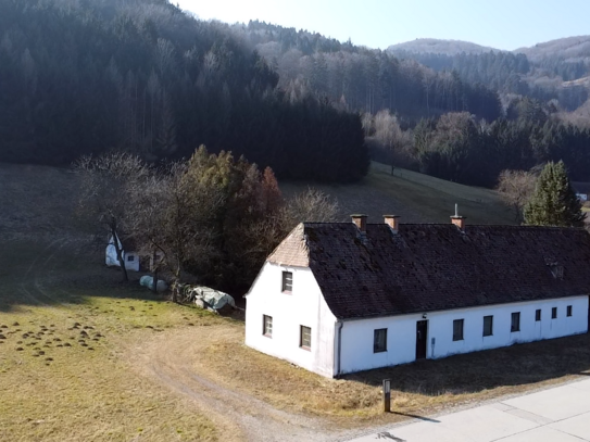 Traumhaftes Grundstück mit großem Potenzial direkt an der Donau, drei Gebäude inklusive!