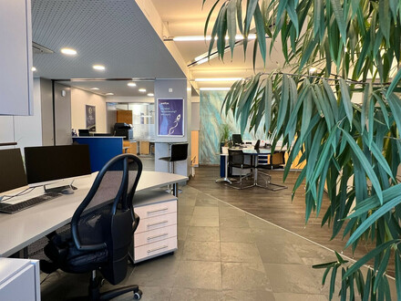 Exklusive Bürofläche zu erwerben in Pöchlarn!