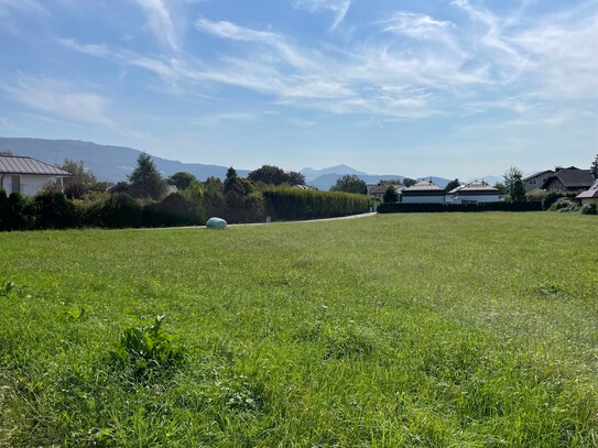 Baugrundstück mit Bergblick in Anif