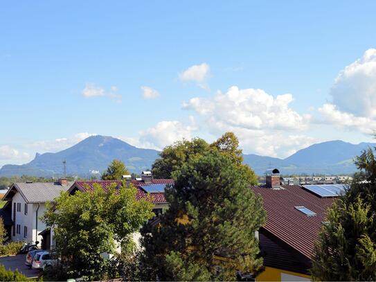 3-Zimmer-Dachgeschosswohnung mit Gartenanteil